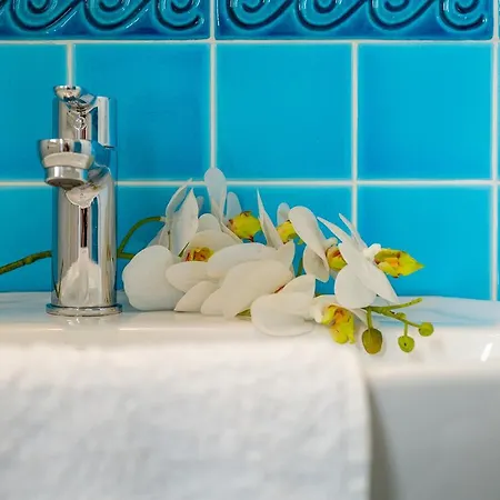 Casa Curiel 빌라시미우스